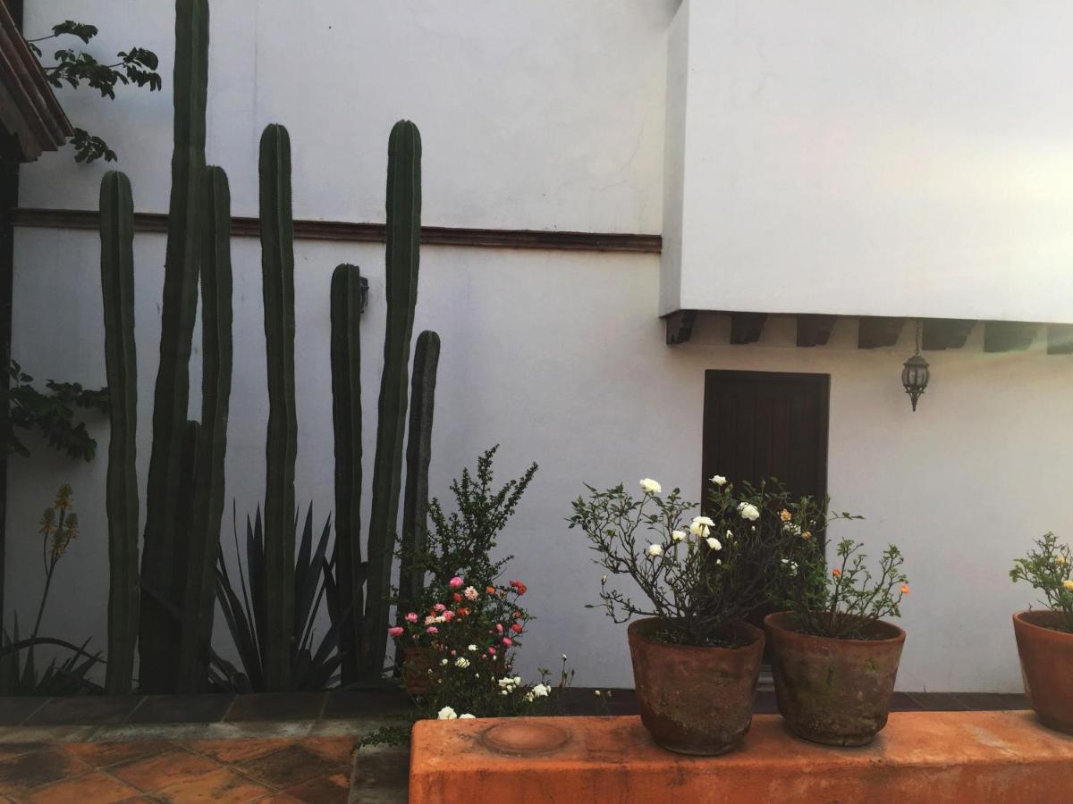 Las Alamedas Departamentos Centricos Con Estacionamiento Privado Guanajuato Eksteriør bilde